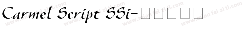 Carmel Script SSi字体转换